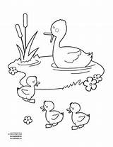 Duck In A Pond Drawing At GetDrawings  Free Download sketch template