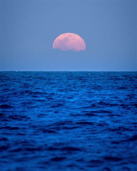 Took the family out to watch the full moon rise over the Atlantic : r/Astronomy