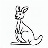 A Simple Kangaroo coloring Page  Download Print Or Color Online For Free sketch template