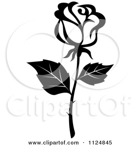 Free Rose Flower Black And White, Download Free Rose Flower Black And White png images, Free ...
