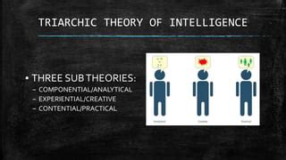 Triarchic theory of intelligence | PPT