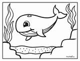 Whale Coloring Pages  30 Printable Sheets Easy Peasy And Fun sketch template