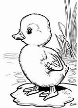 Premium Photo  A baby duck coloring Page For Kids In The Style Of sketch template
