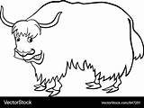 Yak For coloring Royalty Free Vector Image  VectorStock sketch template