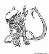 68 Predator Coloring Pages  ColoringPagesOnlycom sketch template