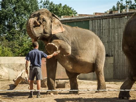 Blackpool Zoo © Brian Deegan cc-by-sa/2.0 :: Geograph Britain and Ireland