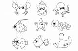 Marine Animal Coloring Pages Sketch Page sketch template