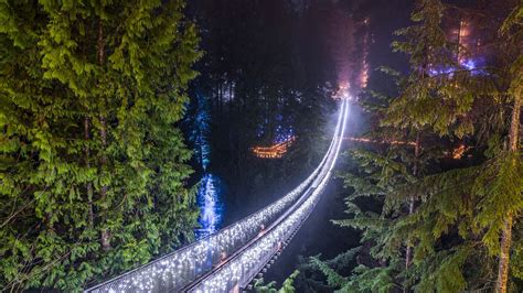 Capilano Suspension Bridge Lights: the Forest Glows for Three Months