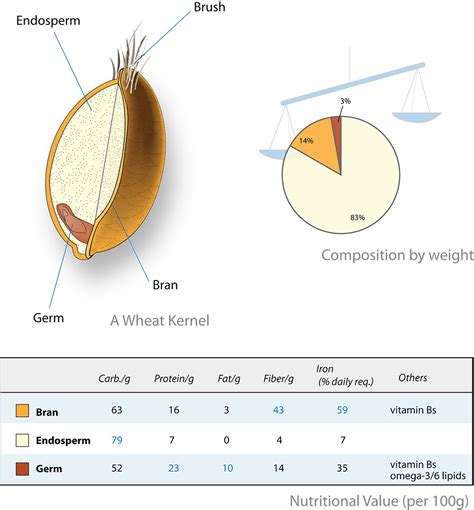 5 Great Grains Or Seeds You Should Eat Instead of White Rice | Dr Siew.com