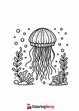 Simple Jellyfish Coloring Page Free PDF Printable sketch template