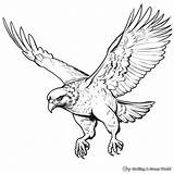 Falcon Coloring Pages  Free & Printable sketch template