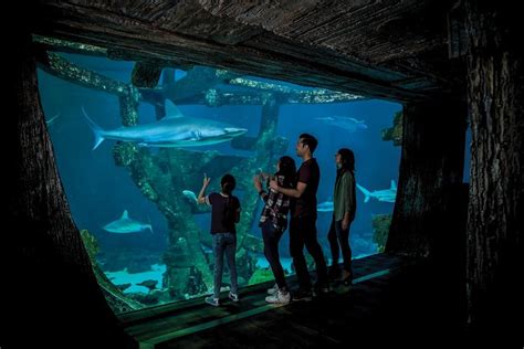 Las Vegas Shark Reef Aquarium Tickets - Hellotickets