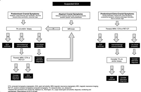 Algorithm for evaluation of suspected giant cell arteritis based on ...