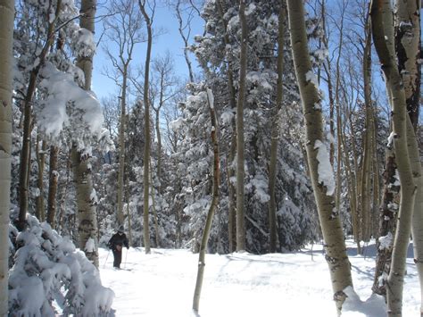 CROSS COUNTRY SKIING - Santa Fe Mountain Adventures