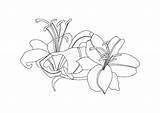 Coloring Pages Easter Lilies  10 Free PDF Printables Printablee sketch template