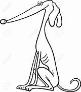 Whippet Coloring Pages At GetColoringscom  Free Printable Colorings sketch template