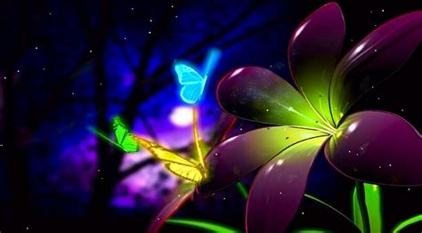 Animated Butterfly HD Wallpapers - Top Free Animated Butterfly HD ...