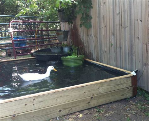 25+ Awesome DIY Backyard Duck Pond Ideas & Designs For 2021