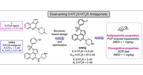 Structure-Based Design and Optimization of FPPQ, a Dual-Acting 5-HT3 ...