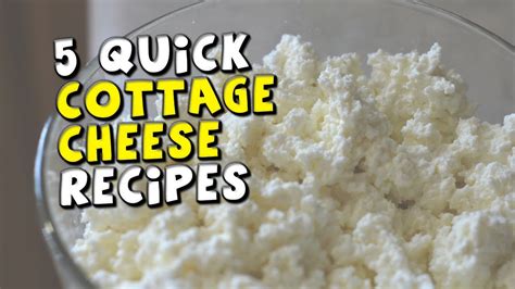 Cheese Recipes: Cottage Cheese Recipes Youtube