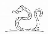 Snake Coloring Pages sketch template