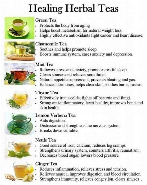 Pin by Sharon Lyn Shepard on Food and Recipies | Herbal tea benefits ...