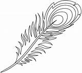 Peacock Feather coloring Page  Free Printable Coloring Pages sketch template