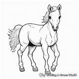 Miniature Horse Coloring Pages  Free & Printable sketch template