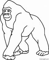 Gorilla Coloring Pages 54 Free Printables  ColoringAll sketch template