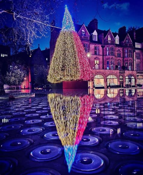 London Christmas Trees: 15 Designs That Are Simply Treemendous