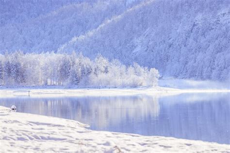 Premium Photo | Sunny winter landscape in the alps lake hintersee in salzburg snowy trees and ...