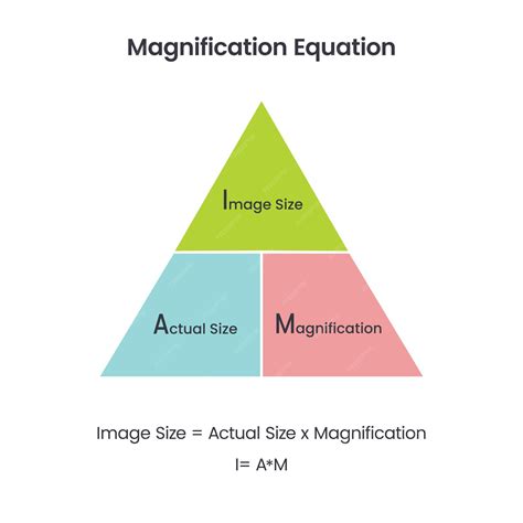 Premium Vector | Magnification equation science vector illustration diagram