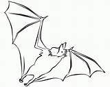 20  Free Printable Bat Coloring Pages EverFreeColoringcom sketch template