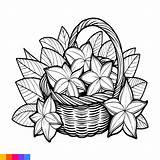 Premium Vector  Fruit Basket Line Art Illustration For The coloring sketch template