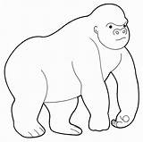 Gorilla Face Outline Sketch Coloring Page sketch template