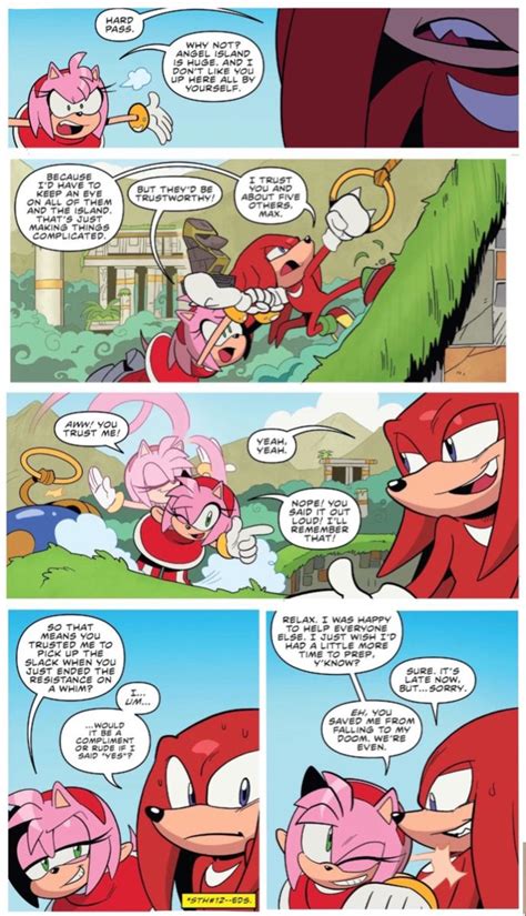 KNUCKLES AND AMY IDW | Sonic funny, Sonic & knuckles, Sonic franchise