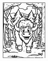 Free Printable Bison Coloring Pages For Kids  Kiddocolorcom sketch template
