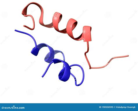 A 3D-model of the Bovine Insulin Chains a and B Stock Illustration - Illustration of heterodimer ...