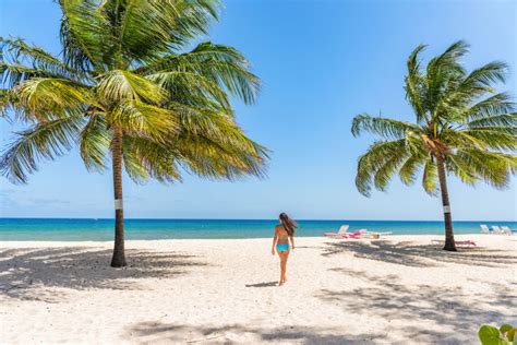 Direct flights to Barbados for a steal with TUI in Jan and Feb 🏝️