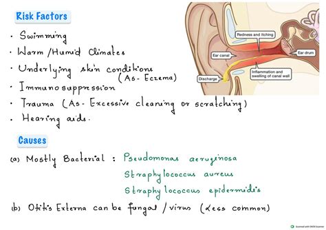 SOLUTION: Swimmer's Ear (Otitis Externa): Causes, Diagnosis, Treatment ...