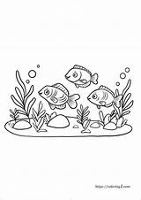 Fish Coloring Pages  39 Free Printable Sheets sketch template
