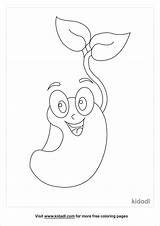 Bean Seed Sprouting Sprout Book Printable Shape Color Enchantedlearning  sketch template
