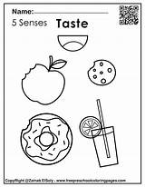 Printable Five Senses Coloring Pages For Preschool Worksheets  sketch template