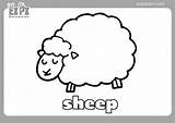 Sheep Coloring Pages sketch template