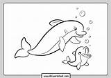 Cute Dolphin Coloring Page Free Printable Pages sketch template