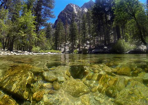 Fishing Sequoia National Park - Unique Fish Photo