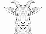 Boer Goat Coloring Pages Top 8 Free Printable Designs sketch template