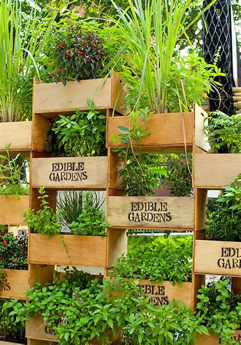 Vertical Gardening Ideas Vegetables Vertically Timelymag