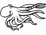 Octopus coloring pages To Download And Print For Free sketch template