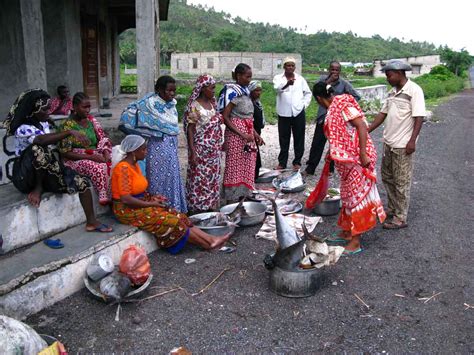 Comoros Gallery